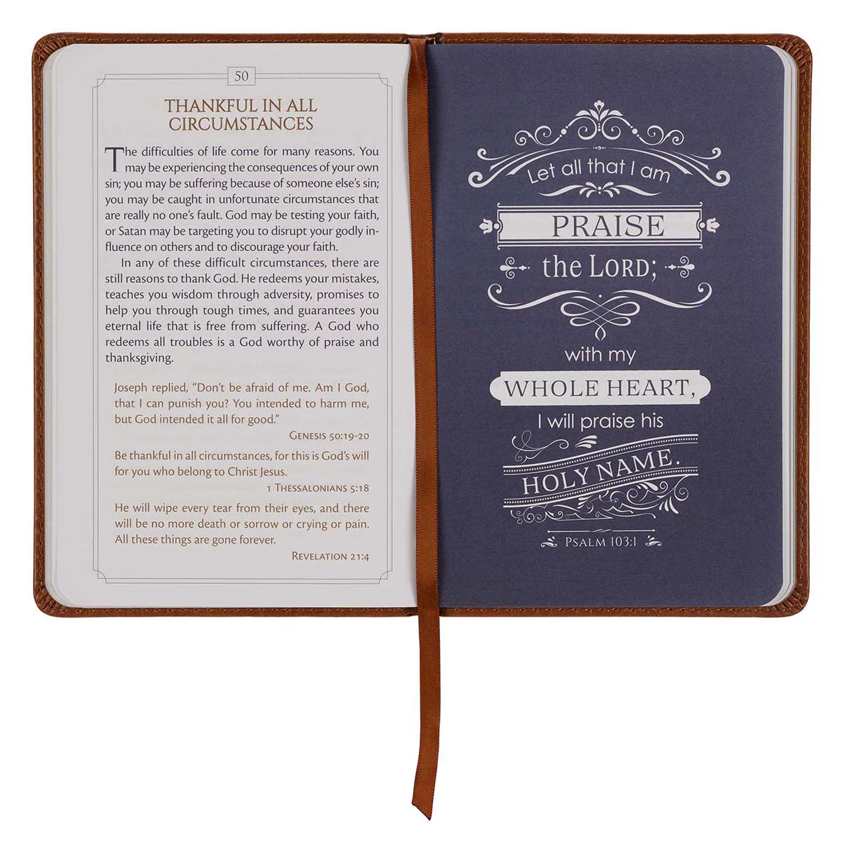 Inside spread of 101 Devotions for Men devotional showing daily reading format with devotional passage and supporting Scripture verses - two-color interior with stylized verses on tan and navy accent pages for men's spiritual growth