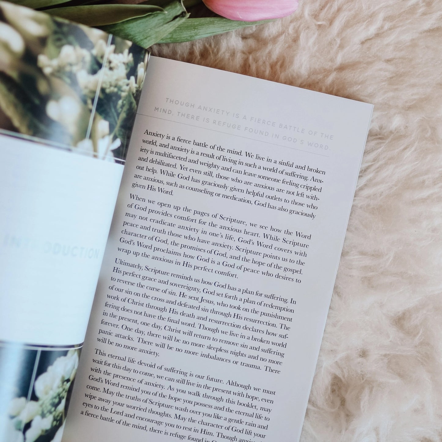 Inside pages of Meditations for Anxiety booklet showing inspiring daily meditation text and encouraging words for anxiety relief and peaceful reflection