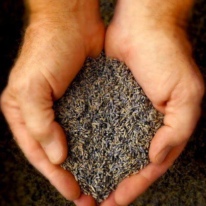 Lavender buds from Lavande Lavender Bud Sachet held in the palm of hands included in Fear Not Teen Girl Blessing Box